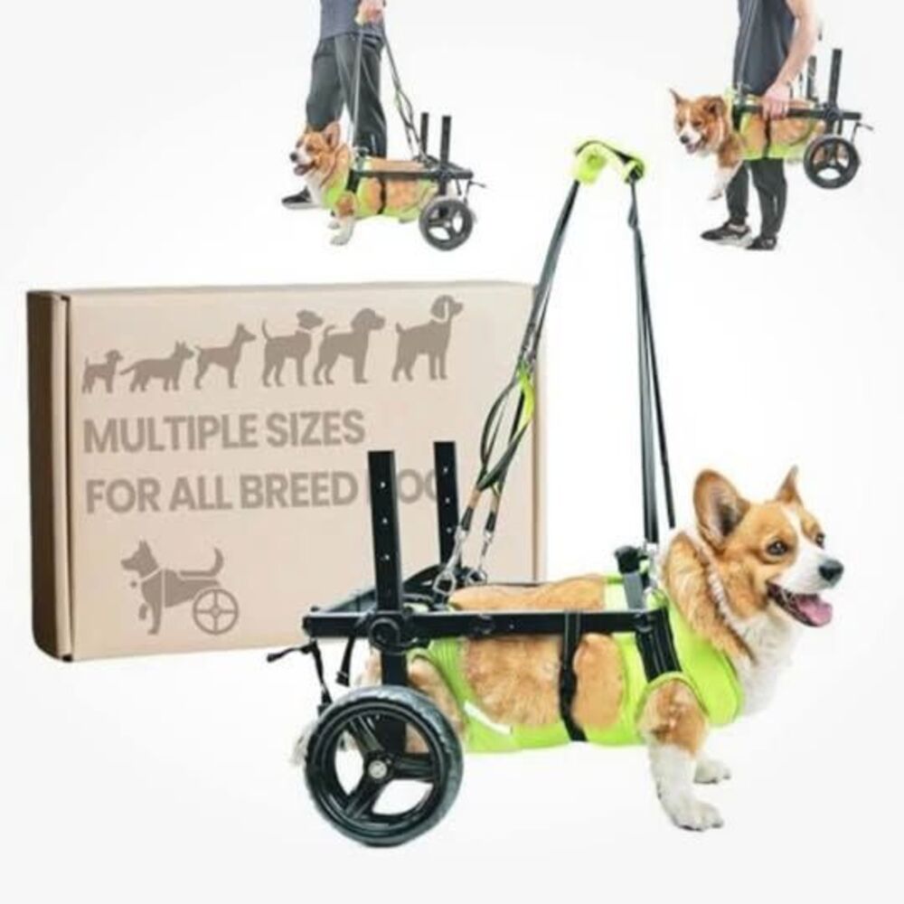 The Acesolid Full Body Pet Wheelchair